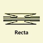 Concertina Recta 1-Grudisa