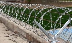 CONCERTINA GALVANIZADA-Grudisa
